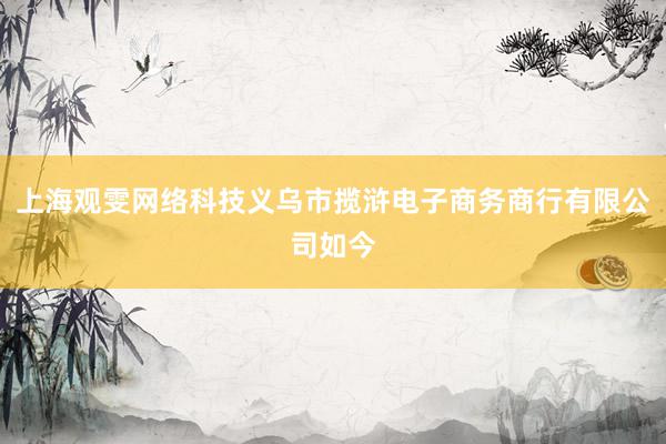 上海观雯网络科技义乌市揽浒电子商务商行有限公司如今