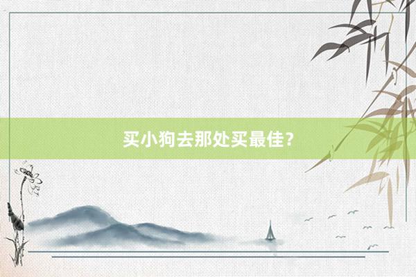 买小狗去那处买最佳？