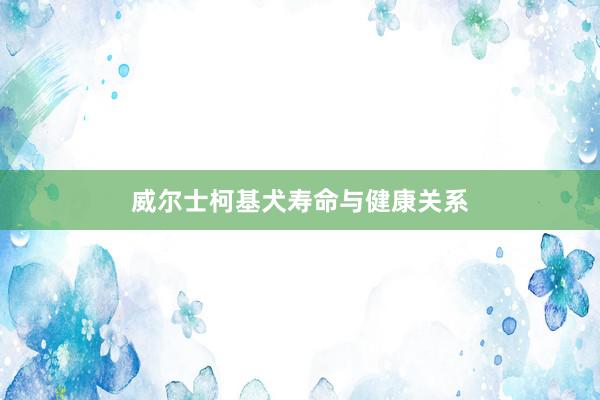 威尔士柯基犬寿命与健康关系