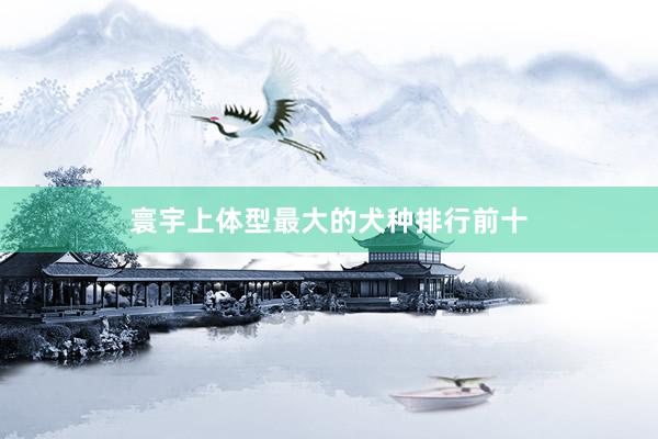 寰宇上体型最大的犬种排行前十