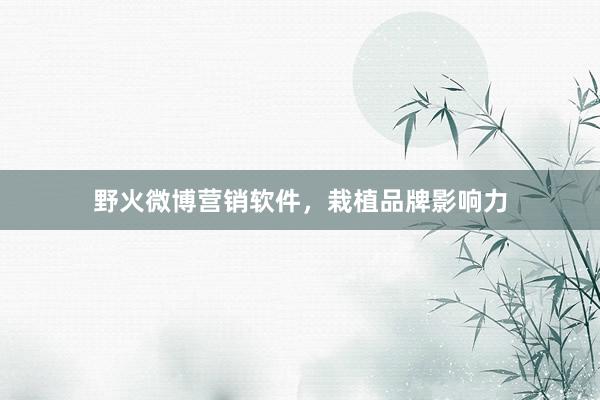 野火微博营销软件，栽植品牌影响力